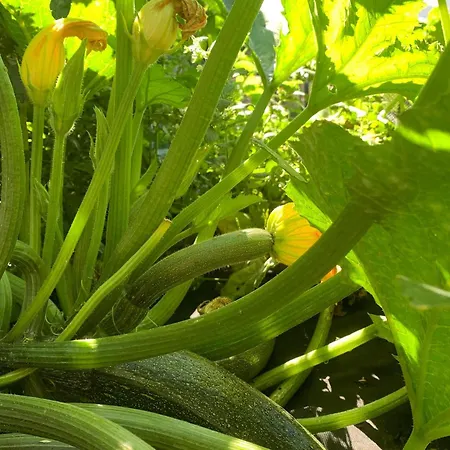 Luxuszelt Teepee Oppidum Praha-motofamily *