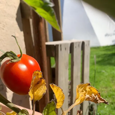 Tente de luxe Teepee Oppidum Praha-motofamily *