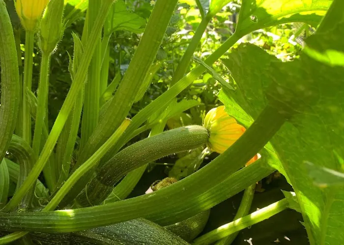 Luxury tent Teepee Oppidum Praha-motofamily *