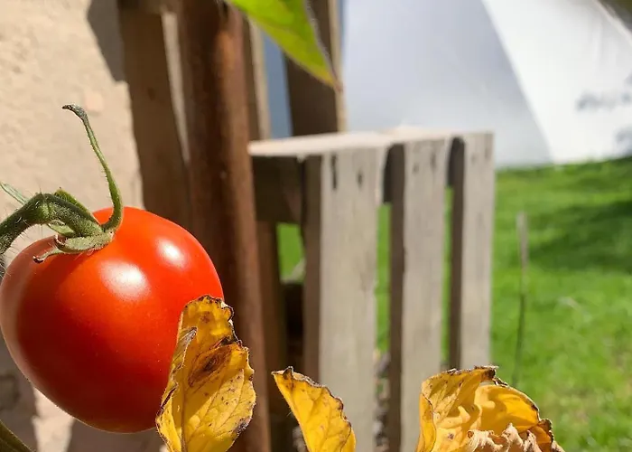 Luxury tent Teepee Oppidum Praha-motofamily *